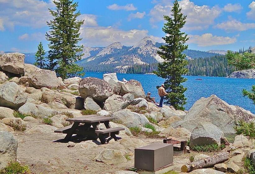 Отель Elevation Station