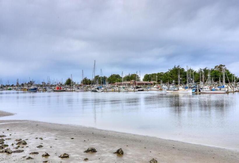 酒店 Sequoia Cottage