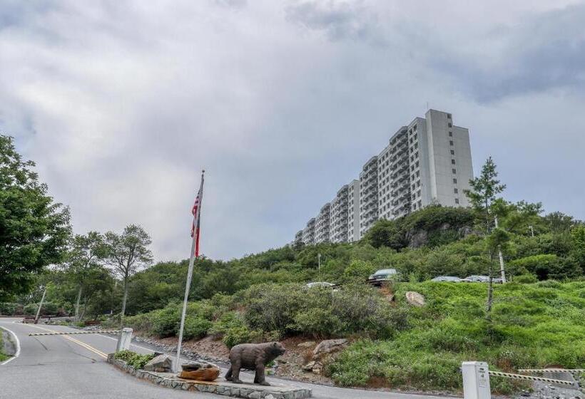 酒店 Sugar Top 2816