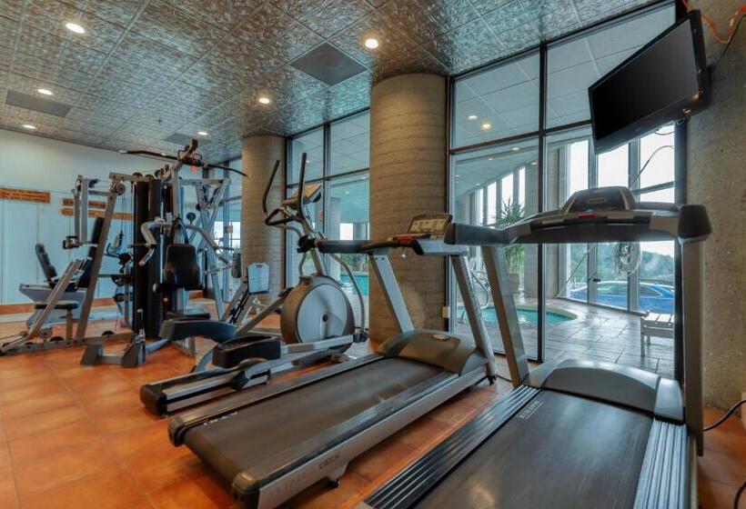 酒店 Sugar Top 2816