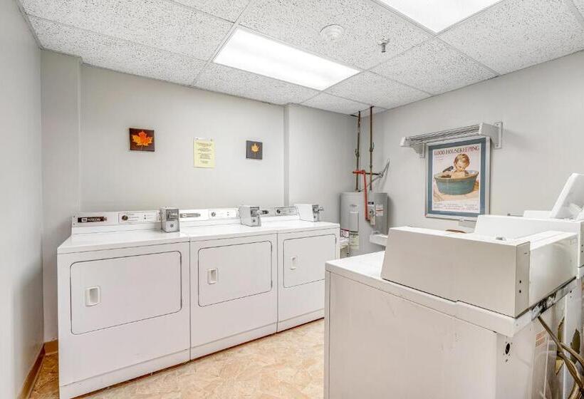 酒店 Sugar Top 2816