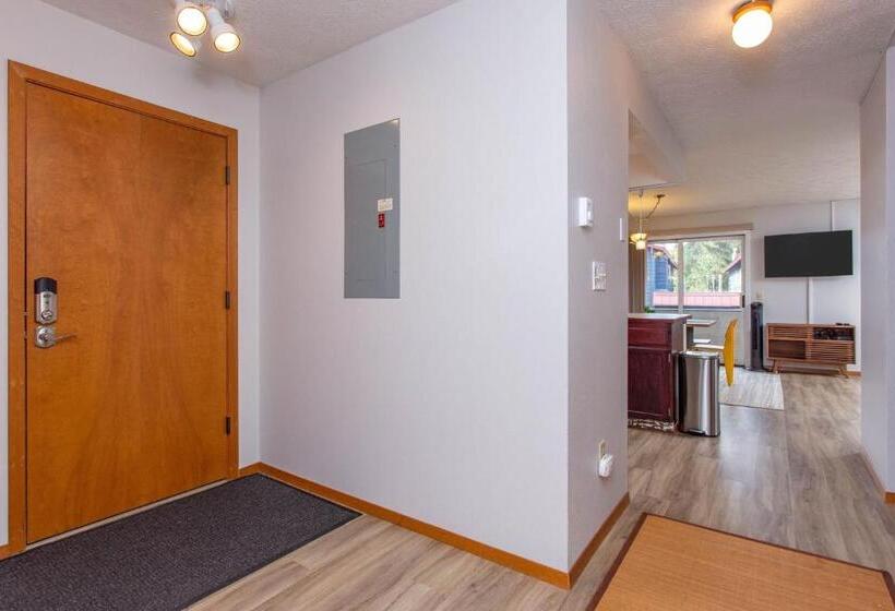 فندق Timberline 208