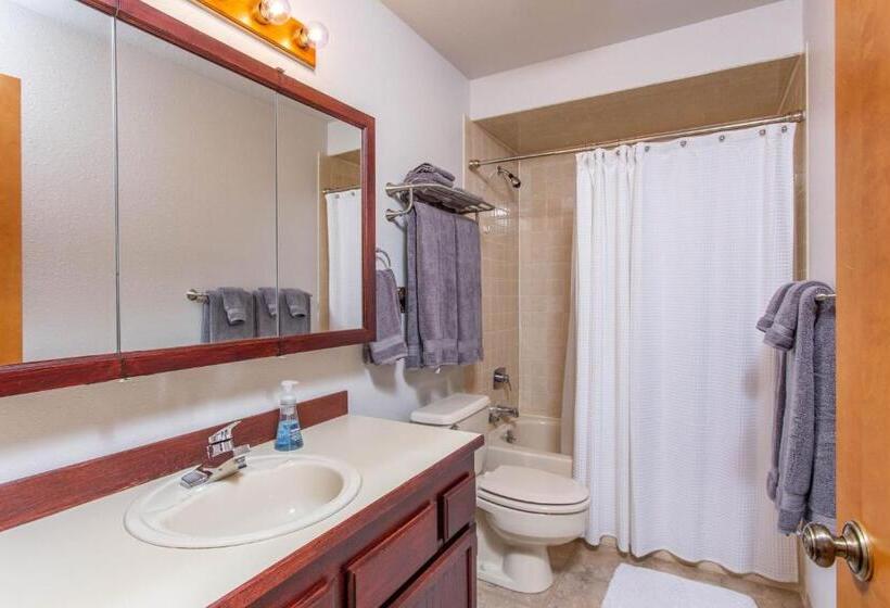 فندق Timberline 208