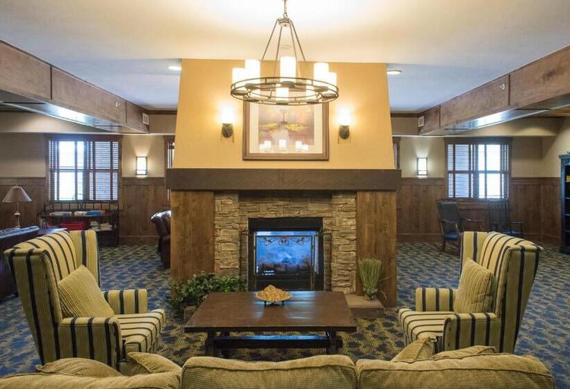 فندق Village Rd 309