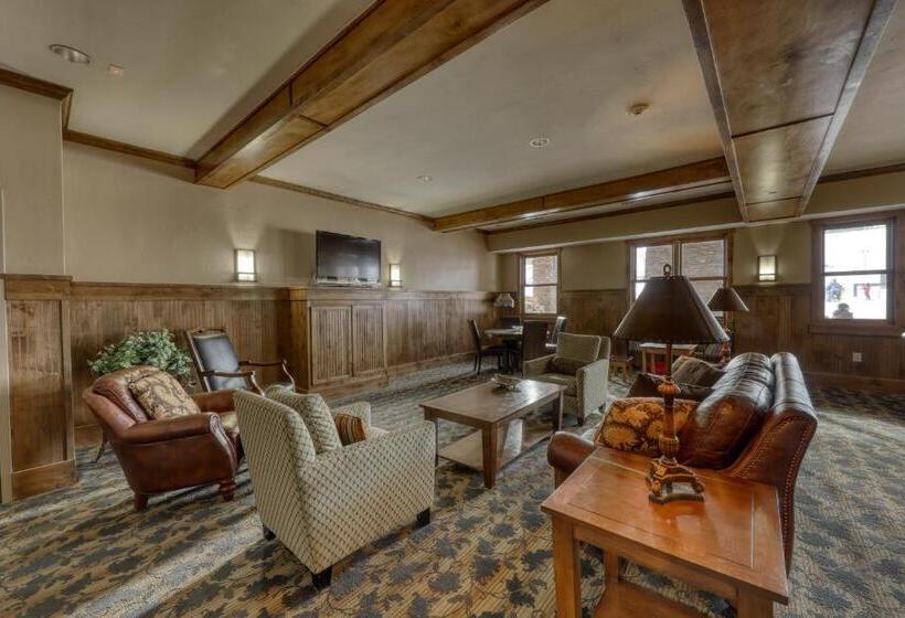 فندق Village Rd 309