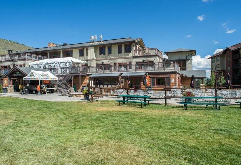 فندق Village Rd 309