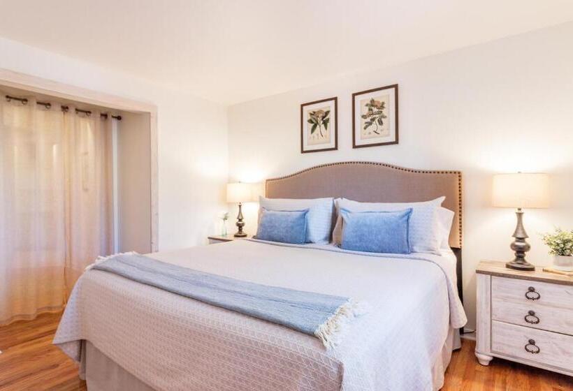 בית מלון כפרי All New Historic Charmer In The Heart Of Durango