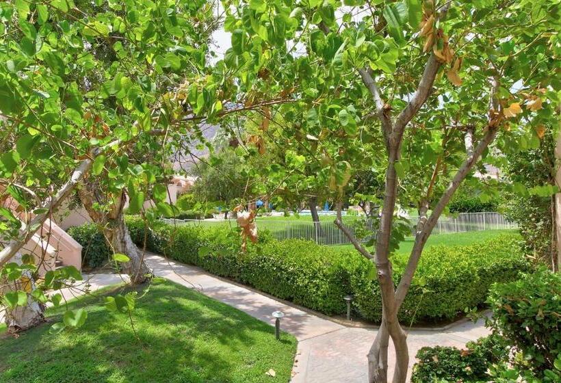 酒店 Sunny Palm Springs Retreat Permit# 58428