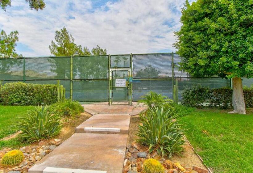 酒店 Sunny Palm Springs Retreat Permit# 58428