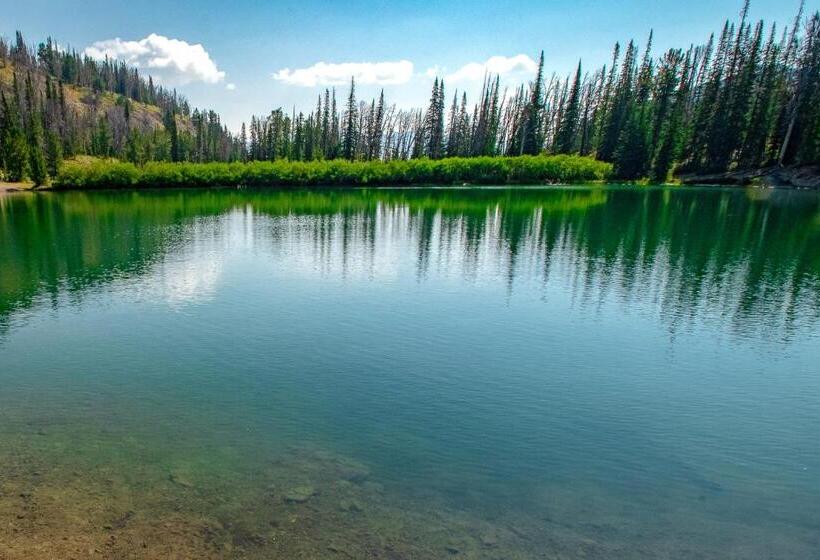 فندق Among The Wildflowers