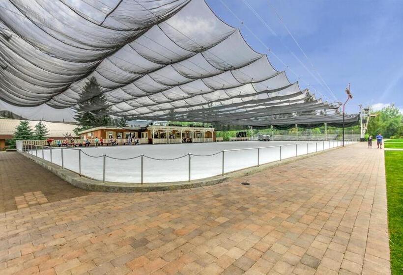 فندق Among The Wildflowers