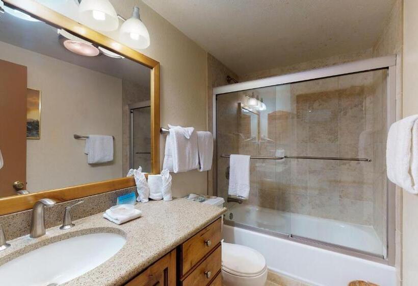 ホテル Anaconda 103