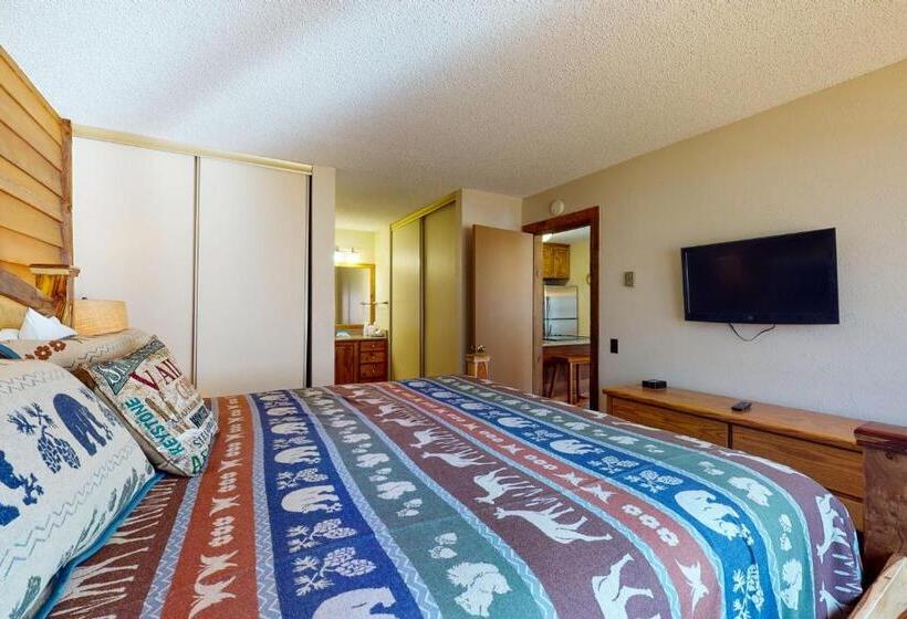 ホテル Anaconda 103