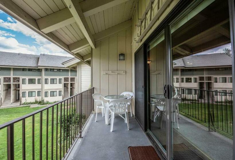 فندق Condo Del Sol 210