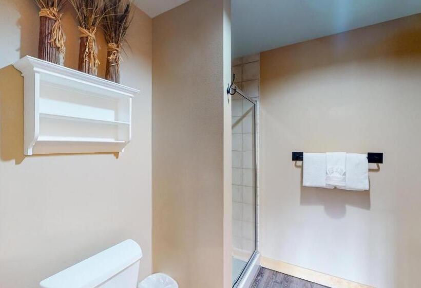 酒店 Copper Mountain Ski Hideaway