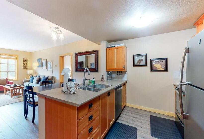 酒店 Copper Mountain Ski Hideaway