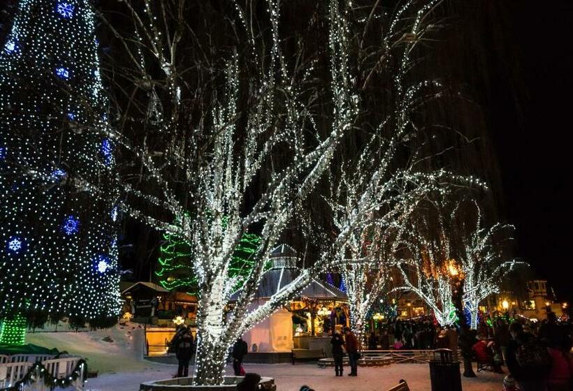 ホテル Copper Top Chalet