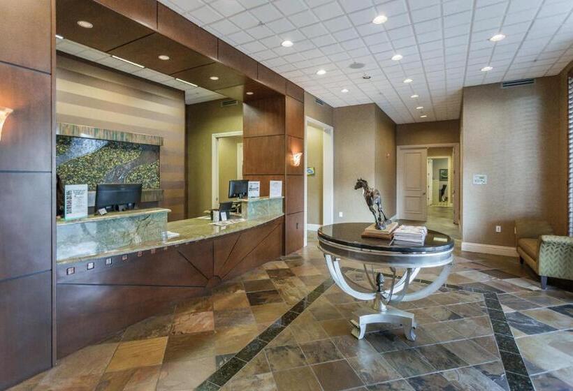 فندق Lovely Lely