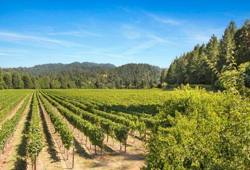 호텔 Melody Vineyard Cottage