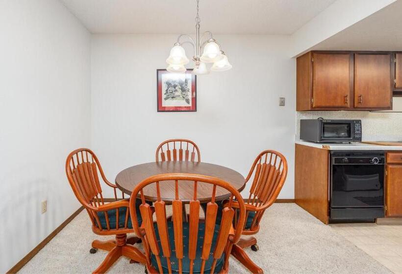 فندق Skiview #103