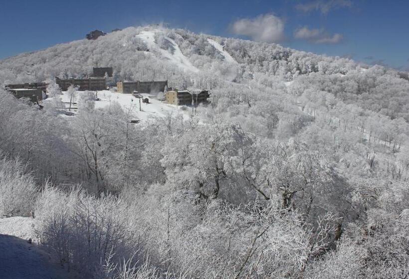 ホテル Sugar Ski 11 202