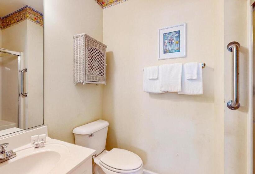 ホテル Pelican S Watch