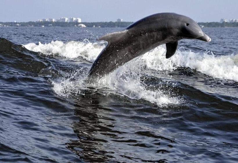 ホテル Back Bay Condominium #708