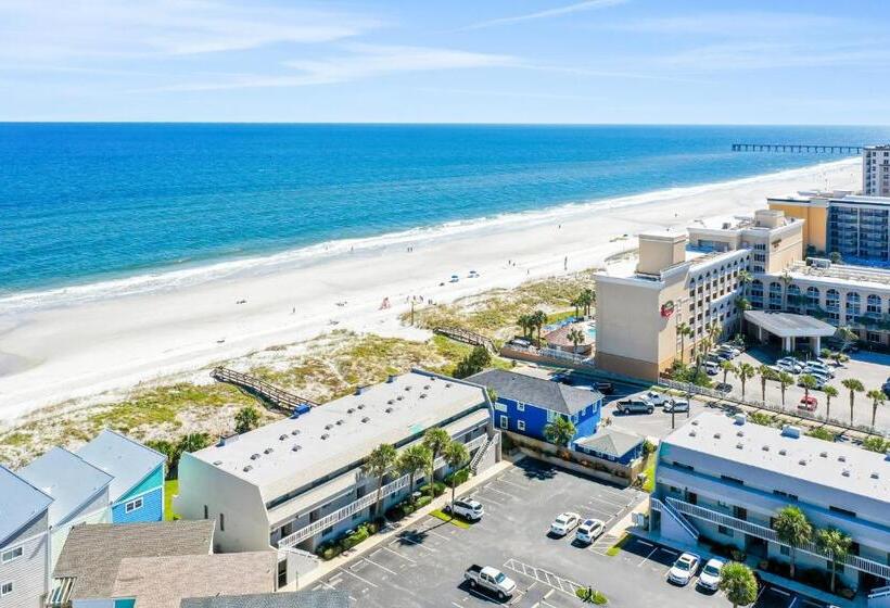 فندق Life Is But A Dream