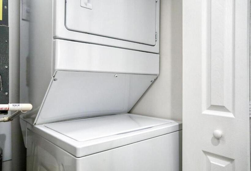 酒店 Modern Palm Paradise