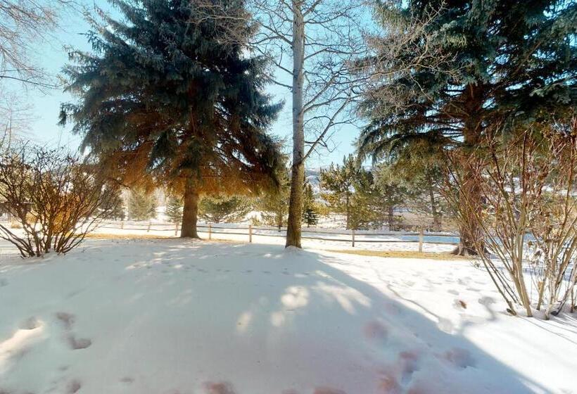 酒店 Nottingham Nook