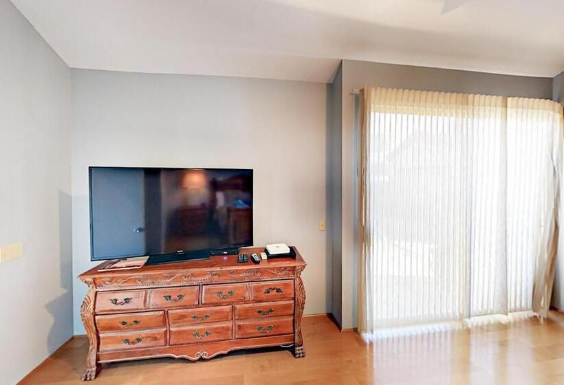 Отель Riviera Oasis