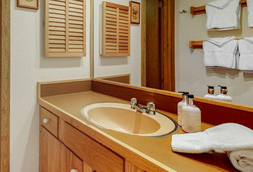 فندق The Director S Cabin