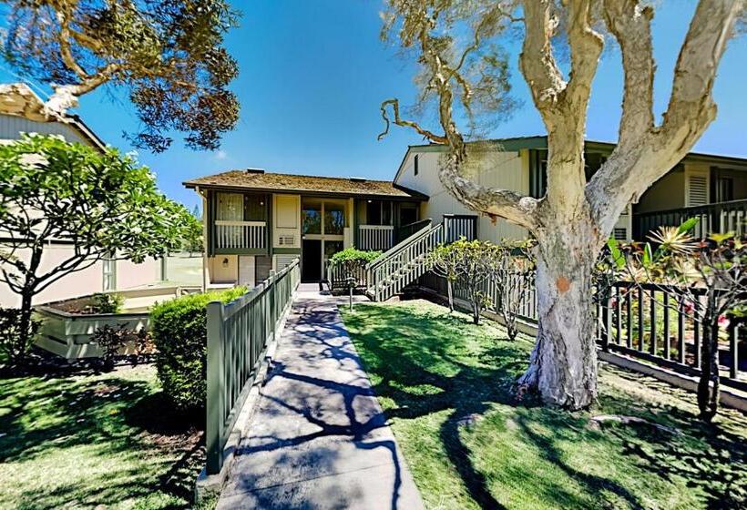 فندق Turtle Bay Resort 166