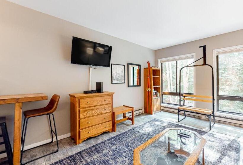 ホテル Keystone Ski Studio