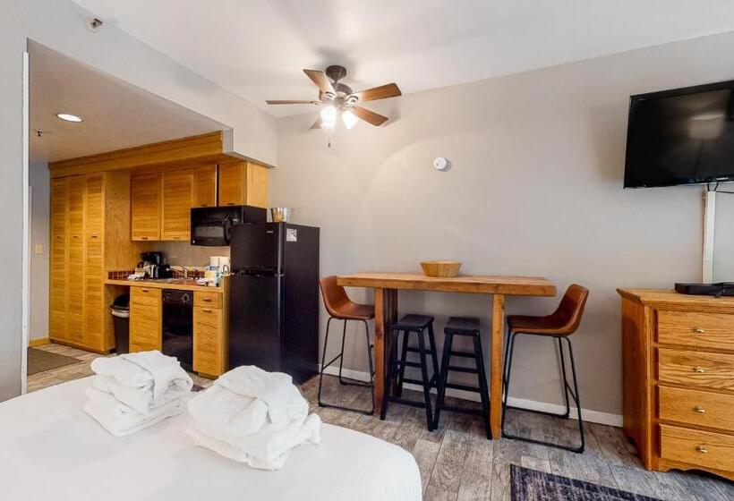 ホテル Keystone Ski Studio