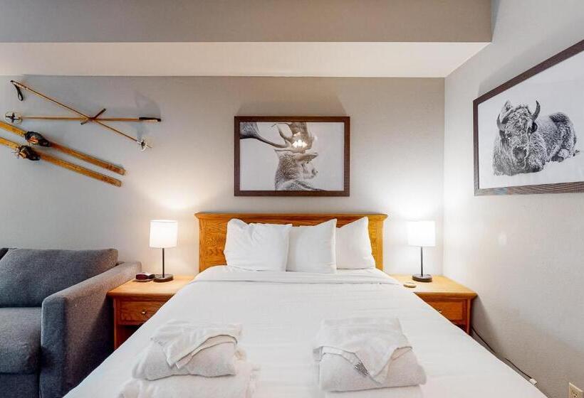 ホテル Keystone Ski Studio