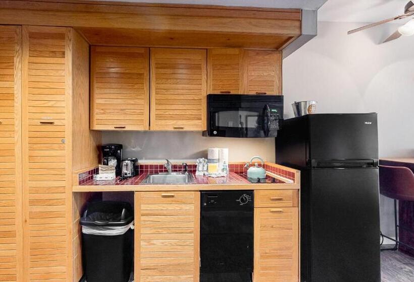 ホテル Keystone Ski Studio