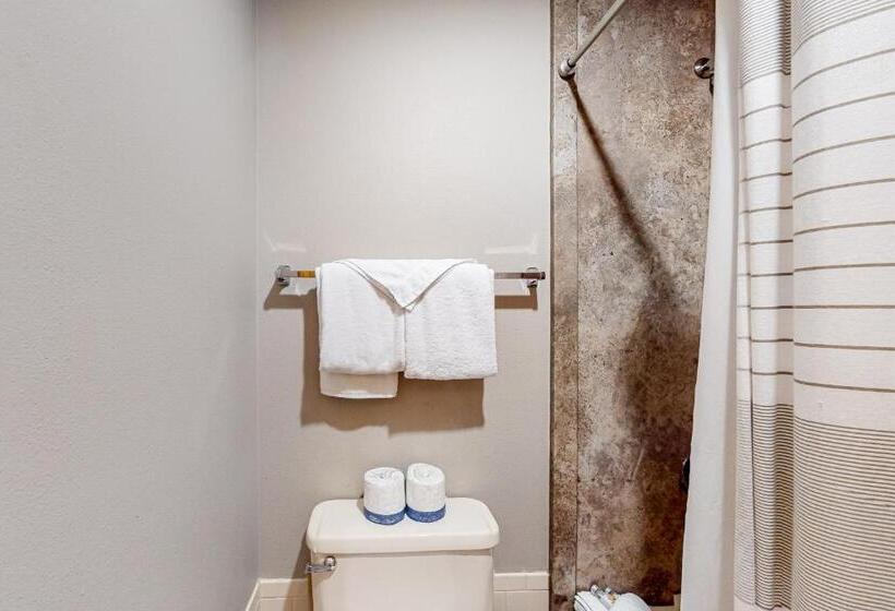 ホテル Keystone Ski Studio