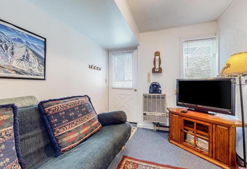 酒店 Mittersill Sunset Townhome