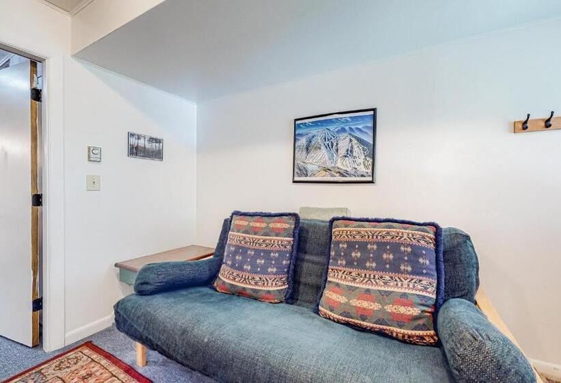 酒店 Mittersill Sunset Townhome