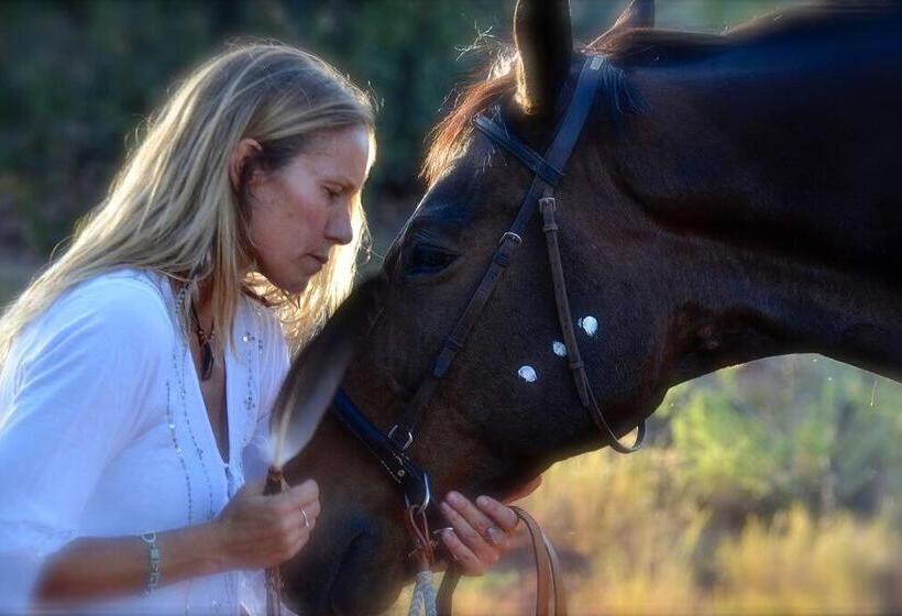 هتل The Mountain Lion   Horses Sedona S Most Loved