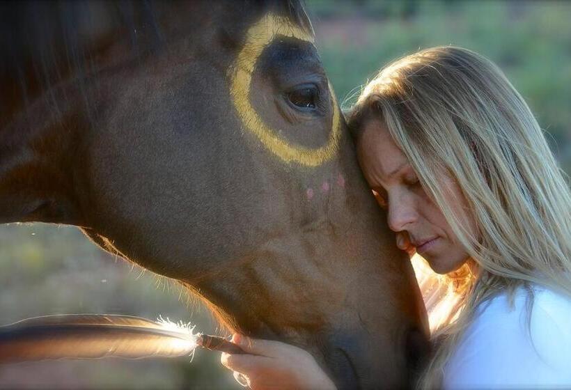 هتل The Mountain Lion   Horses Sedona S Most Loved
