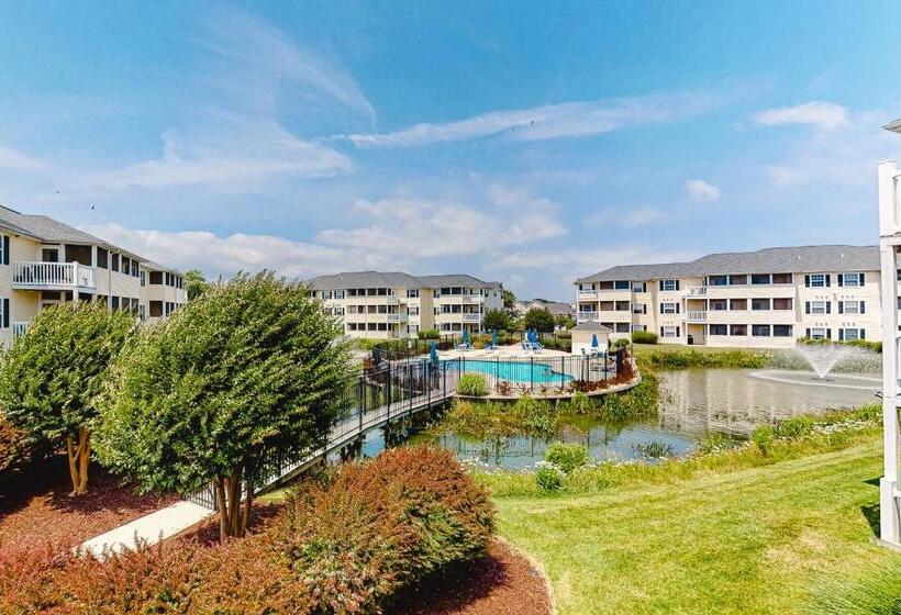 فندق The Palms   36525 Palm #5201