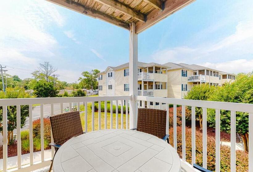 فندق The Palms   36525 Palm #5201