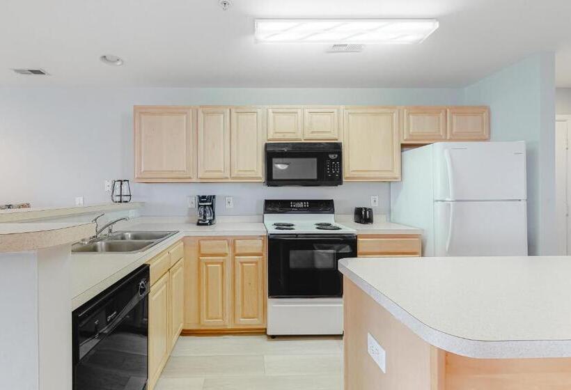 فندق The Palms   36525 Palm #5201