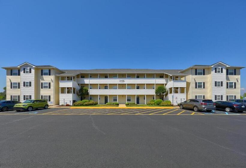 فندق The Palms   36525 Palm #5201