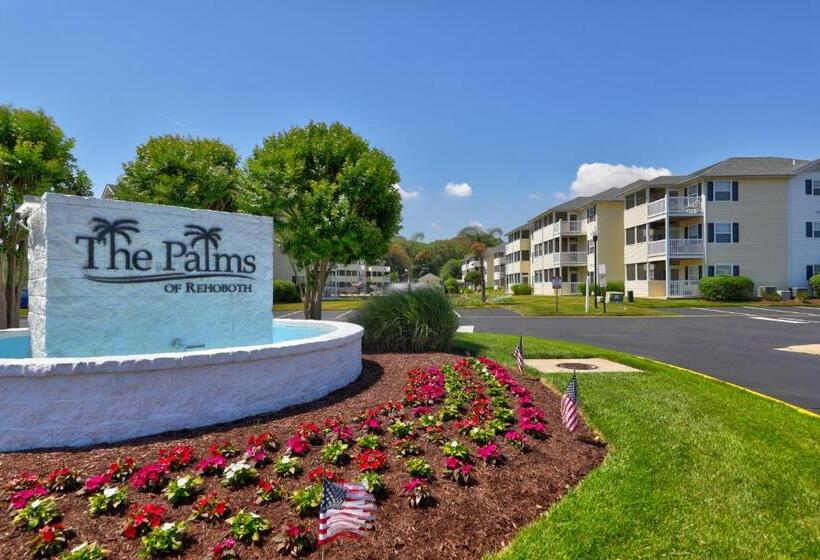 فندق The Palms   36525 Palm #5201