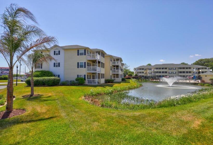 فندق The Palms 36525 Palm #5201