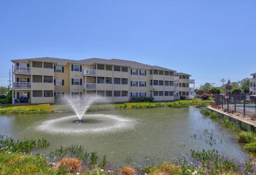 فندق The Palms   36525 Palm #5201