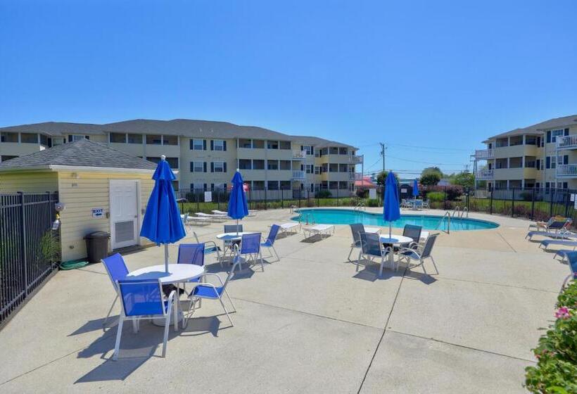 فندق The Palms   36525 Palm #5201